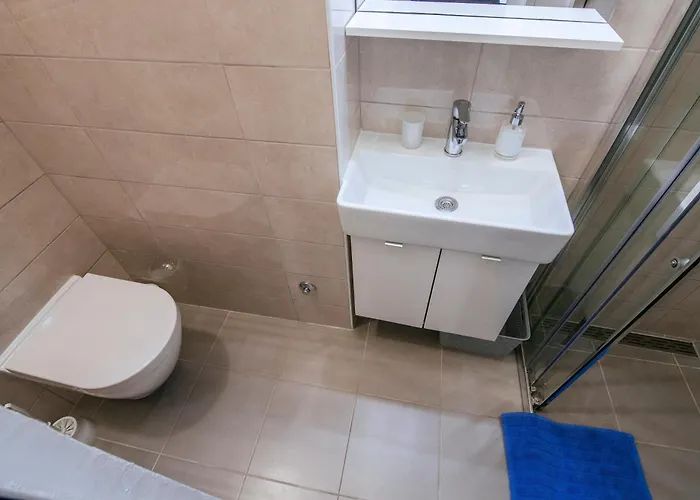 Apartament Ema House *